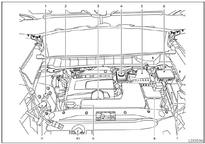 Nissan Pathfinder - Points de vérification dans le compartiment moteur
