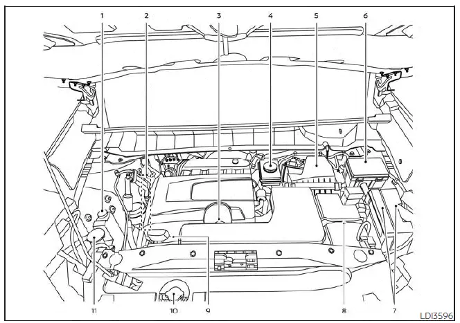 Nissan Pathfinder - Points de vérification dans le compartiment moteur